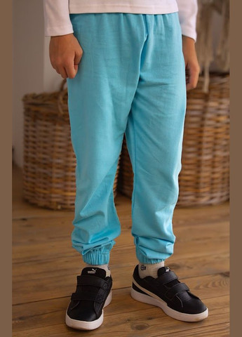 Голубые повседневный демисезонные брюки No Brand