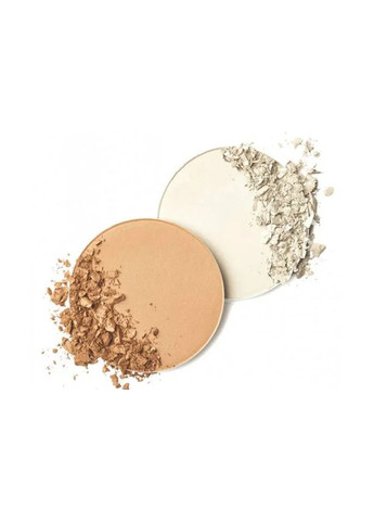 Пудра фиксирующая PROFASHION FINAL TOUCH 11г Pastel Пудра фіксуюча (316390290)