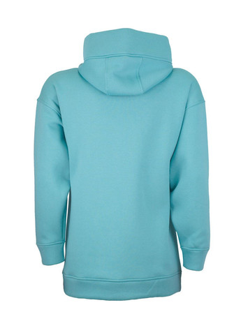 Худи Грета Greta с начёсом ментол с принтом HOME 024 шелкография XS 4PROFI (314963770)