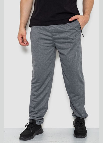 Серые спортивные демисезонные брюки Ager