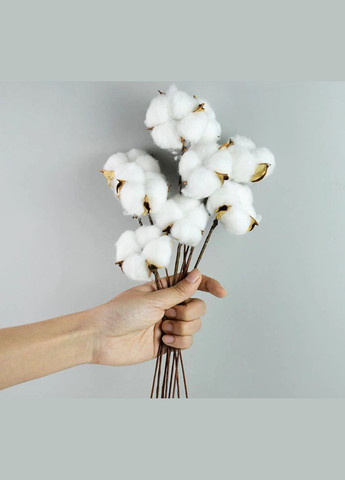 Коробочка хлопка натуральная, проволочный стебель, 6х27 см, белая No Brand (341730949)