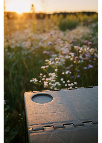 Стіл Camp Table Low пластиковий T-EF-0003-olive Tribe (366220508)