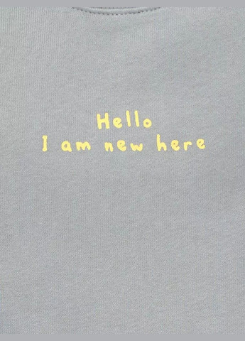 Kiabi світшот демісезон,сірий з принтом, сірий