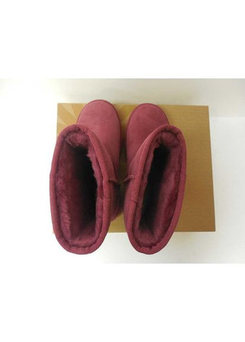 Красные угги australia classic short sangria boots 5825 (размер 38) UGG