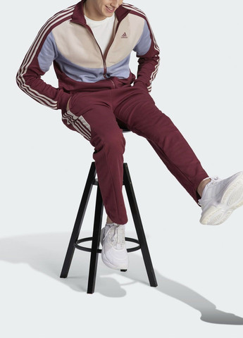Бордовий демісезонний спортивний костюм colorblock track suit ic6758 adidas