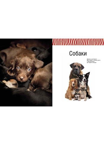 Малята-звірята Видавництво "Апріорі" (354253637)