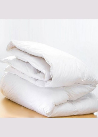 Ковдра Raffaello 053 зима+ 200x220 см 8061875 Mirson (316612993)