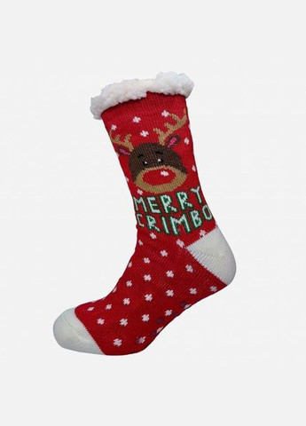 Сімейний набір домашніх новорічних шкарпеток Arctik Сірий+Червоний Лео (276536007)