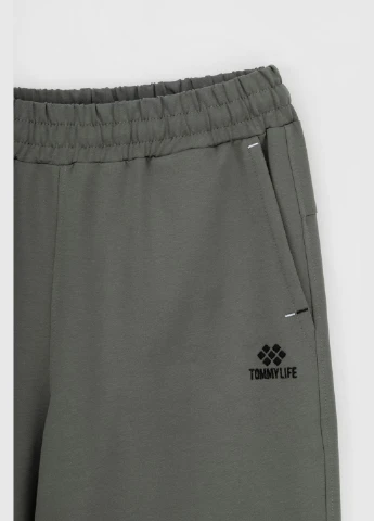 Спортивні штани чоловічі 84967 Tommy Life (315971591)