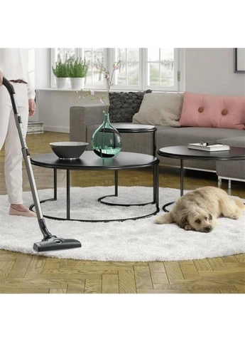 Пилосос ESPC71DB Electrolux (400431561)