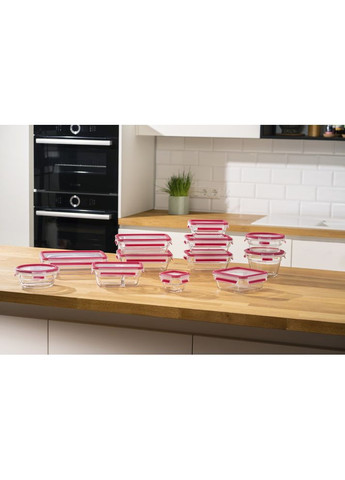 Набір контейнерів харчових Master Seal N1050910 3 предмети Tefal (364103256)