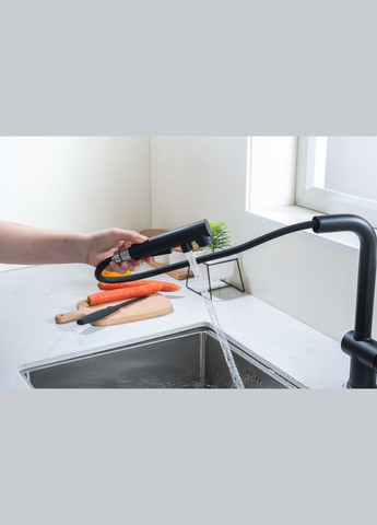 Смеситель для кухни с выдвижным изливом FBL-34 Nett (336939089)