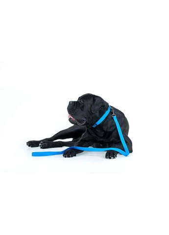 Поводок для собак водостойкий WAUDOG Waterproof, Ш 15 мм, Длин 122 см Collar (362584671)