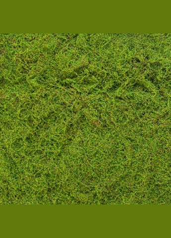 Декоративна панель зі штучного моху 100*100 см (9224-011) ELISEY (332182774)