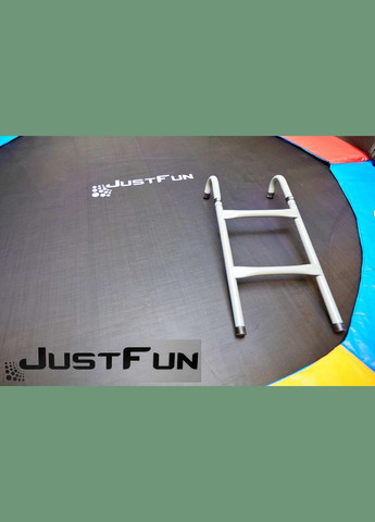 Батут 305см Multicolor внутренняя сетка + стремянка No Brand (352011012)