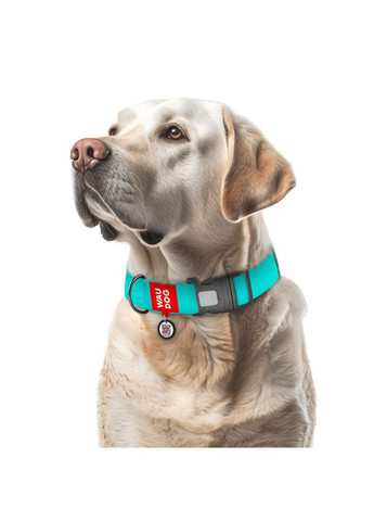 Ошейник для собак водостойкий WAUDOG Waterproof з QR паспортом, світлонакопичувальний, пластиковий фастекс,, Ш 40 мм, Дов Collar (362578323)