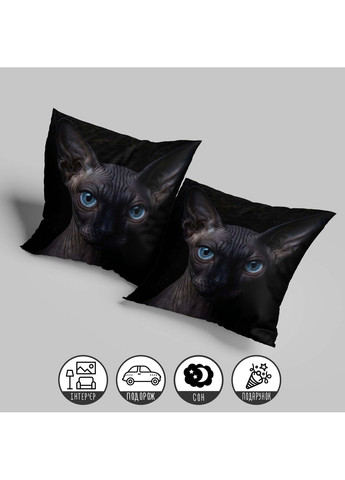 Декоративная подушка "Голубоглазый кот", 33×33 см, 3D печать / 1312333UA WONKEY (359448145)