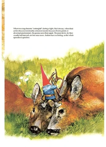 Gnomes Abrams (374563876)