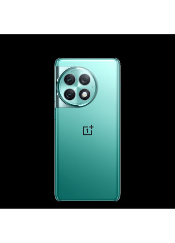 Смартфон 12/256Gb OnePlus Ace 2 Pro (364675076)