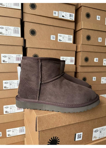 Жіночі UGG Classic Mini II (Замша) No Brand (364860203)
