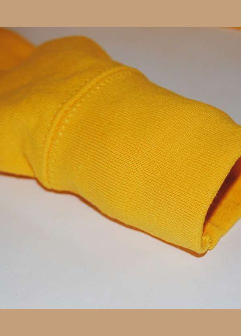 Толстовка женская Classic hooded sweat Фиолетовый (0620380PEM) Fruit of the Loom (311607785)