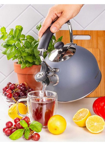 Чайник 2,2л из нержавеющей стали со свистком серый матовый для кухни чайник для воды Ofenbach (368978069)