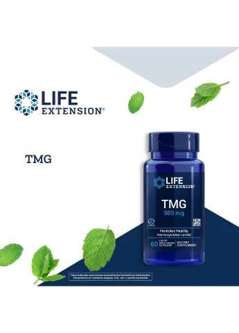 Триметилглицин TMG 500 мг 60 капсул Life Extension (395915293)