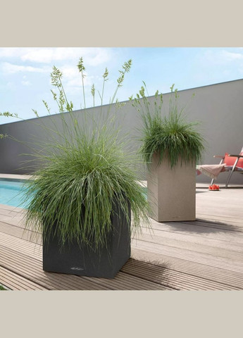 Умный вазон Canto Stone 30 low 12 л кварцевый белый 13707 Lechuza (316627722)