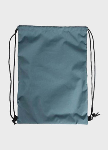 Сумка ONE GO SWIMBAG 10L Зелений 46 x 34 x 1 см Arena (367588876)