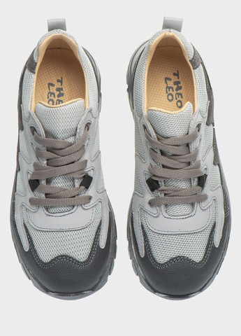 Серые всесезон кроссовки Theo Leo