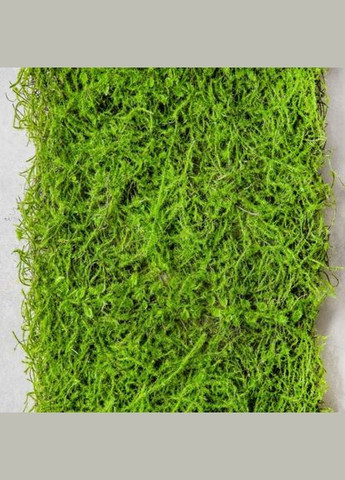 Декоративна панель зі штучної зелені Мох 40*90 см (9226-002) ELISEY (328087961)