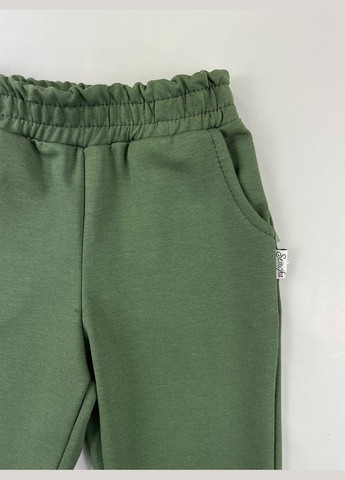 Зеленые демисезонные брюки Semejka