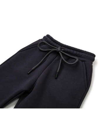Штани дитячі спортивні флісові (CL0155017-104-gray) Cloise (300857670)