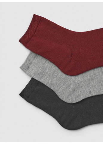 Серые набор носков женщин Terranova однотонные (363045488)