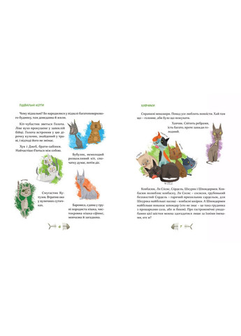 Книга "36 и 6 кошек" (на украинском языке) Видавництво Старого Лева (322122812)