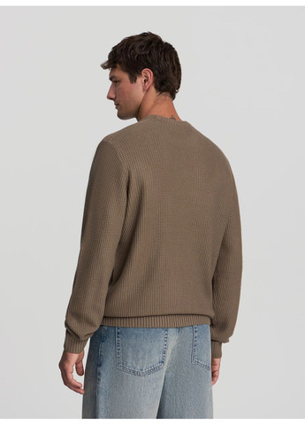 Бежевий зимовий светр чол Terranova