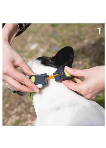 Ошейник для собак Club Reflex C15/44 красный 1.5х30-44 см 75250222 Ferplast (323224572)