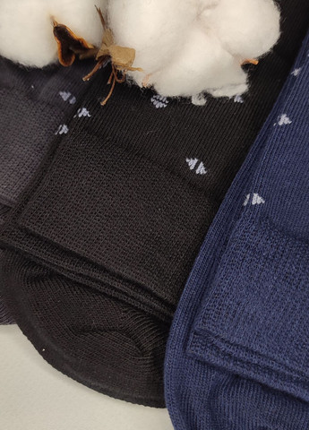 Комбинированные носки высокие хлопковые 6 пар упаковка ml 204/6 р.40-44 разные цвета Lomani (331290964)