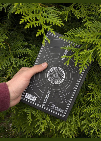 Блокнот Рунический Ежедневник черный 210х148 мм 208 страниц No Brand (334889232)