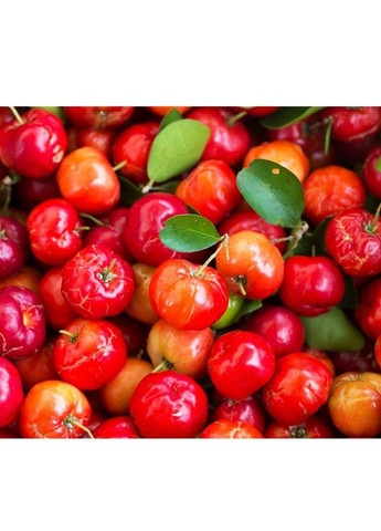 Face Mask Okinawa Acerola зволожуюча маска з екстрактом ацероли, 7 шт LuLuLun (307090947)