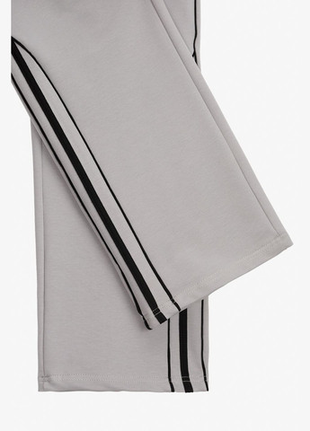 Светло-серые спортивные демисезонные брюки Lizi Kids