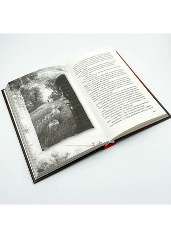 Приховані малюнки — Рекулак Джейсон |, книга українською, нова, тверда Клуб Сімейного Дозвілля (362679222)