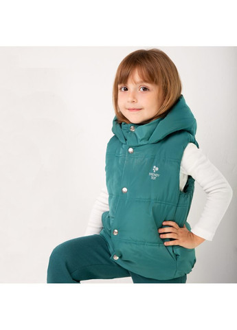 Жилет стьобаний утеплений дитячий унісекс Trendy Tot 03-01509_000003175 (372735852)
