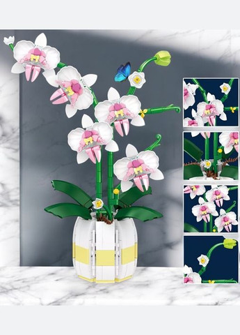 Конструктор квітка Орхідея на 616 деталей блочний пластиковий різнокольоровий No Brand (328262706)
