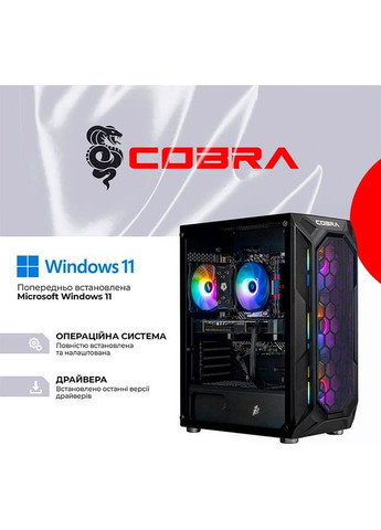Комп'ютер Advanced (A55.16.S10.96XT.22469W) Cobra (368902247)