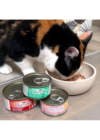 Консерва для кошек с тунцем и крабом, 140 г (*) Vibrisse (355343759)