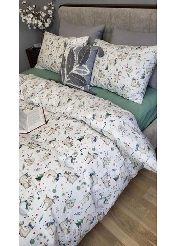 Постельное белье Рождественское настроение, ранфорс Двуспальный размер, наволочки 70/70 No Brand (363190358)