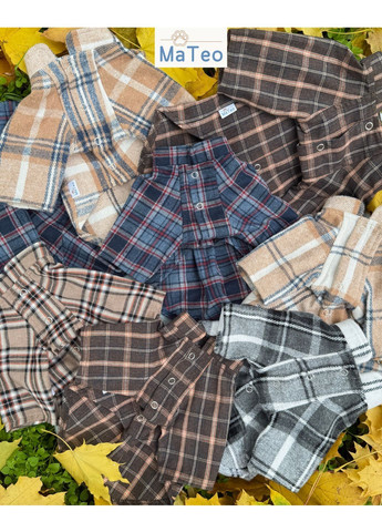 Сорочка для собак L Mateo (372478935)