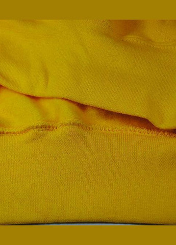 Худі чоловічий Classic hooded sweat (062208059XL) Fruit of the Loom (311606413)