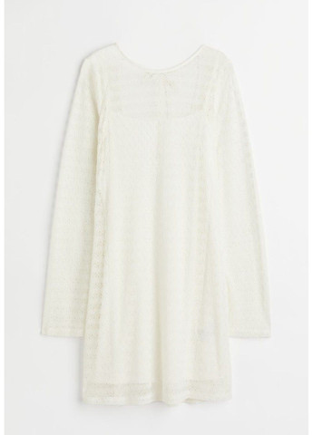 Білий повсякденний жіноча мереживна сукня н&м (57067) xs біла H&M
